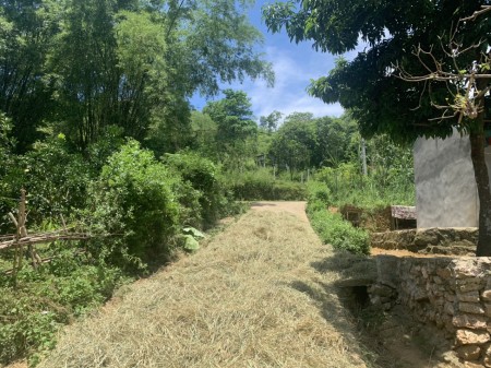 Đi đến slide 6