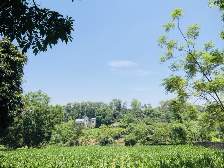 Bán đất chính chủ, pháp lí sạch Thành Lập Lương Sơn Hòa Bình, sổ đầy đủ
