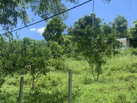 Đi đến slide 7