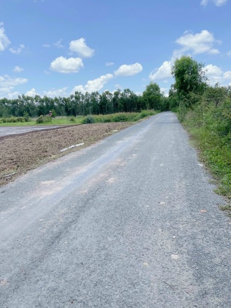 Đất thổ Long An giá rẻ cho các nhà đầu tư, đất Đức Huệ, Đức Hòa
