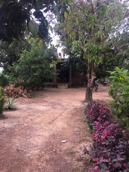 Đi đến slide 8