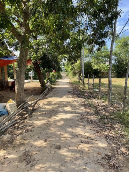 Đi đến slide 7