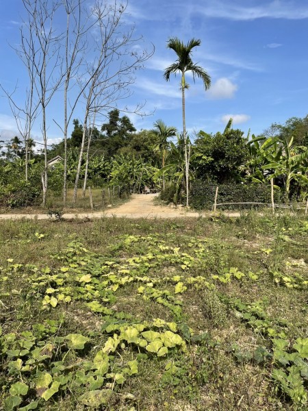 Đi đến slide 8