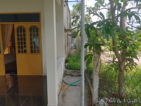 Ra nhanh lô đất 6x48 100m thổ cư xã Châu Pha, giá 1.65 tỷ