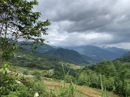Đi đến slide 3