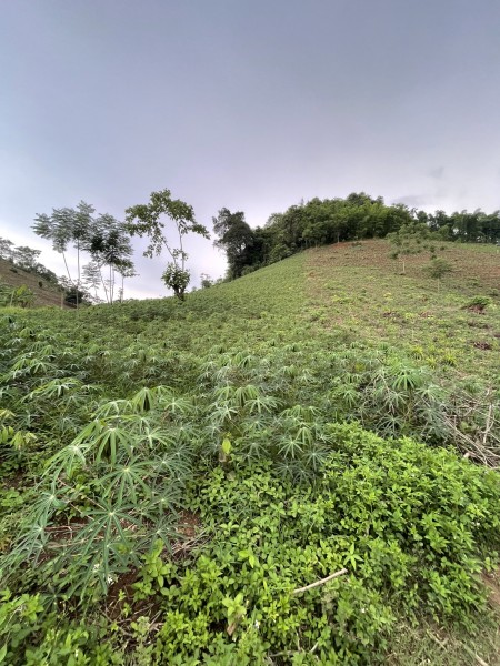 Đi đến slide 7