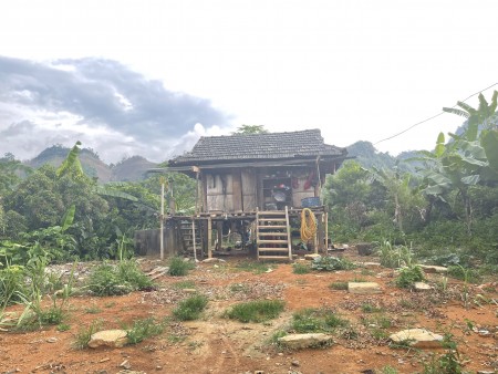 Đi đến slide 8