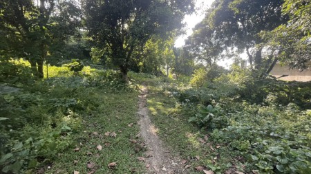 Đi đến slide 11