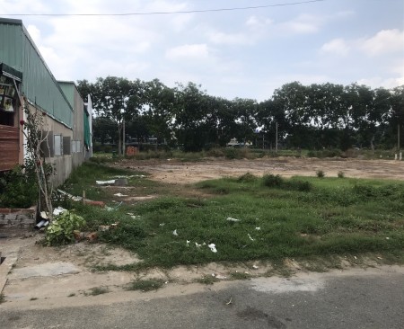 Đất Phạm Văn Hai huyện Bình Chánh cần bán, khu dân cư đông đúc