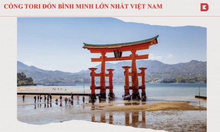 Đi đến slide 5
