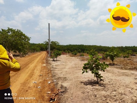 Bán đất TTHC huyện Hớn Quản 269tr/1000m2 . Sổ sẵn . 17/06/2021
