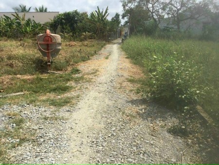 Đất nhà vườn, biệt thự Đức Huệ, Long An giá rẻ cho nhà đầu tư