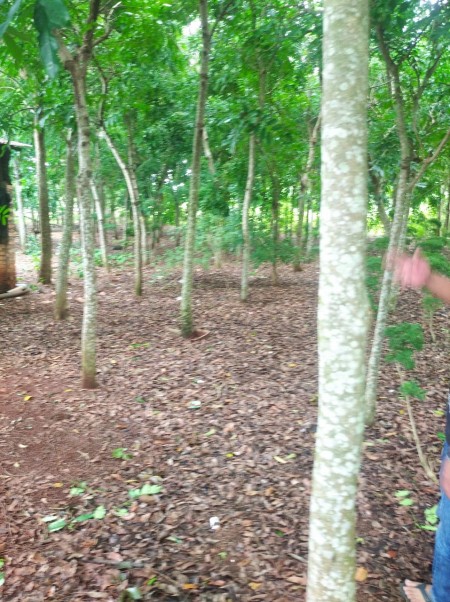 Đi đến slide 6