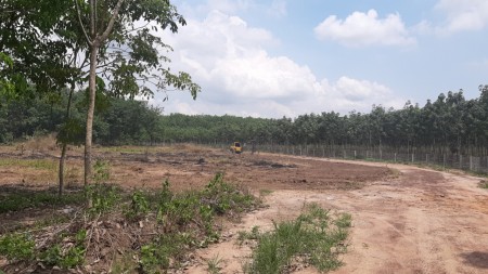 Cần bán gấp lô đất Bình Phước 1000m2 có sổ hồng sẵn giá chỉ cần 220tr