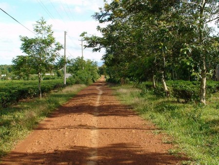 Đất Ngộp Hớn Quản Bình Phước một lô duy nhất một lô duy nhất