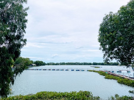Đất Mỹ Hạnh Nam - Đức Hòa giá dưới 1 tỷ
