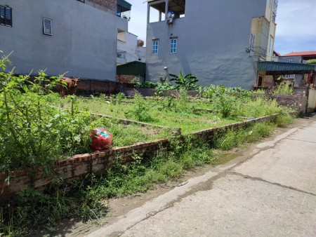 Duy nhất 208M Nguyên Khê Đông Anh chia 3 lô . đường 4m ngõ thông.