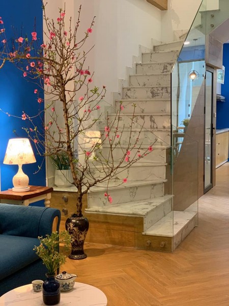 Siêu phẩm Tây Hồ, đẹp nên thơ tặng full nội thất, dt 50m2, giá 5 tỷ