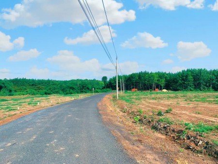 Bán gấp 3228m2, đường nhựa gần Quốc Lộ 14, bán kính 2km, tiện ích đầy đủ