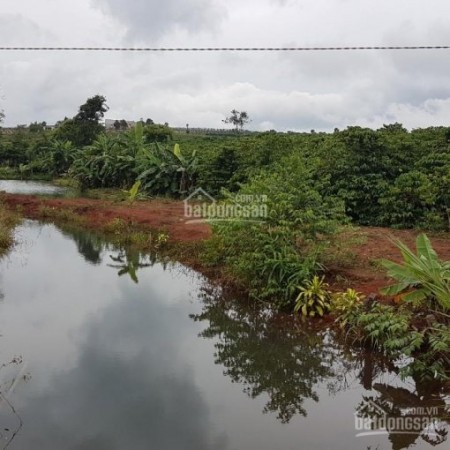 Bán đất 2 mặt tiền tại Bình Phước giá chỉ 4xxtr/1000m2, dân cư bao quanh đông đúc
