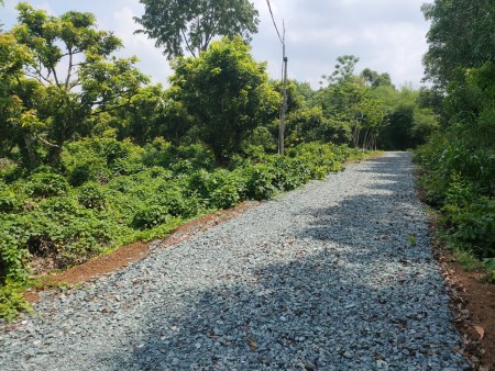 Chỉ cần 220tr có lô đất Bình Phước 1000m2 sổ hồng sẵn, có hỗ trợ vay