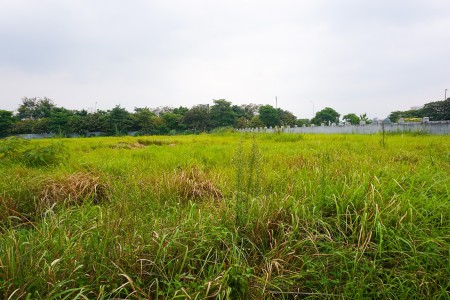 Cho thuê đất kho bãi, café nhà vườn, bể bơi, sân tập golf dt 8000m2 cạnh dự án Khai Sơn Long Biên, HN