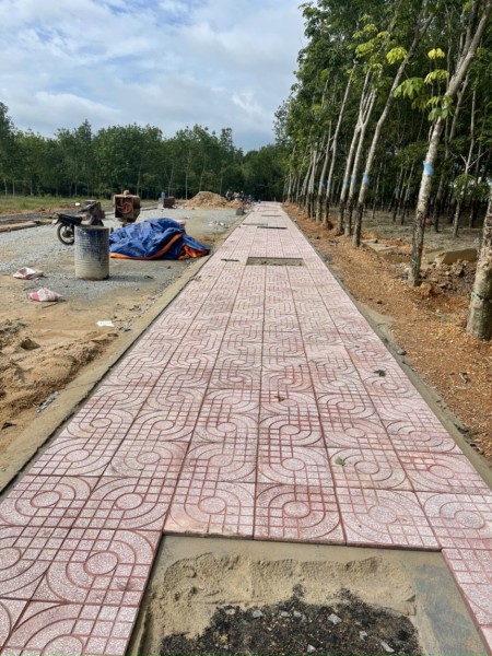 Đi đến slide 5