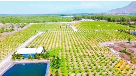 Đi đến slide 4