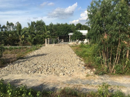Hàng Ngộp chính chủ gửi bán gấp 240m2 mt Quốc Lộ N2 Hựu Thạnh giá 1,85 Tỷ, SHR