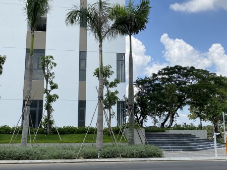 Đi đến slide 4