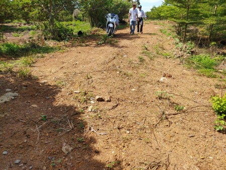 Đi đến slide 2