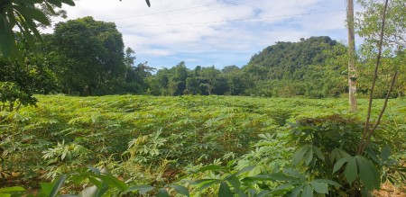 CỰC HOT. Lô đất 8000m sơn thủy hữu tình, vào là mát rượi giá chỉ 3.7 tỷ