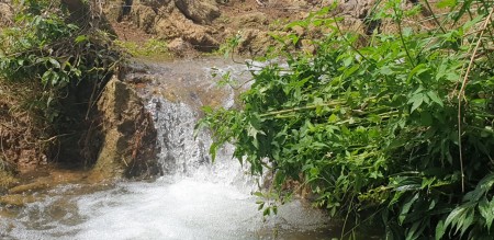 Đi đến slide 5