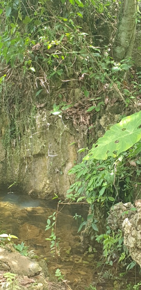 Đi đến slide 6