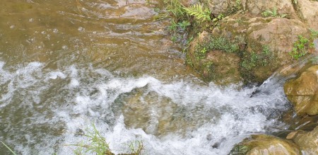 Đi đến slide 8