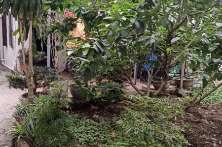 Bán Mảnh Đất Đẹp Phố Kim Quan – Long Biên 70m2, mặt tiền 4,5m; giá 3,4 tỷ