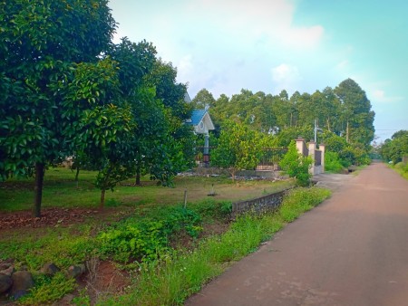 Đi đến slide 6