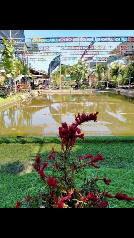 Đi đến slide 7