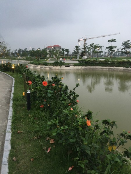 Đi đến slide 3