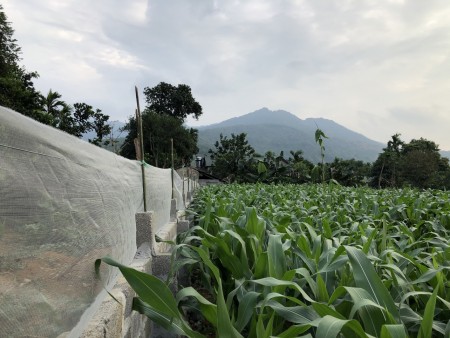 1568m2 có 200m thổ cư ao đa Cư Yên Lương Sơn, lh 0985988333