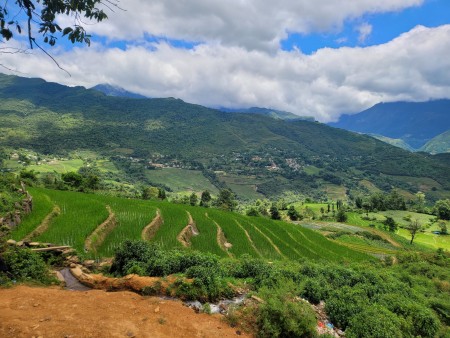 Tôi có mảnh đất ở chợ trung tâm Y Tý cần bán gấp, giá thoả thuận