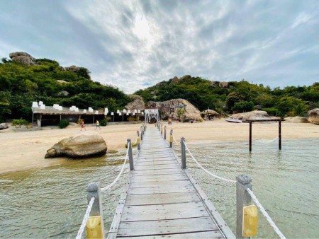 Đi đến slide 11