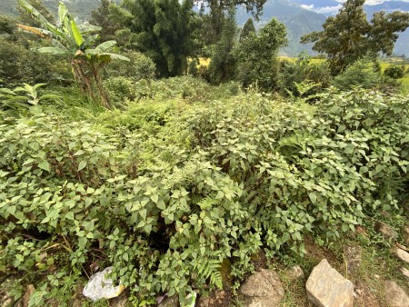 Đi đến slide 2