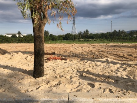 Siêu phẩm mặt tiền đường Lê Lợi chính sách ưu đãi siêu hấp dẫn, giá thoả thuận