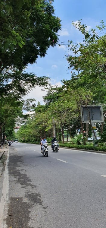 Mặt phố Nguyễn Hữu Thọ, Hoàng Mai tòa 225m, tầng hầm, thang máy, KD đỉnh, 60 tỷ. 0989191397