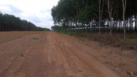 Đất TP Đồng Xoài dt 35x30=1000m2 trong trung tâm, sát chợ, trường học sổ riêng