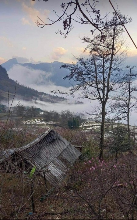 Cần bán mảnh đất ở Y Tý Sapa -Lào Cai, sổ chung, liên hệ 0975757009
