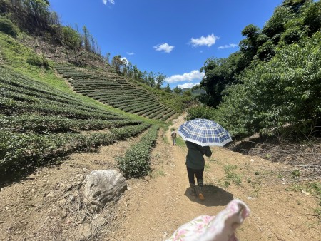 Đi đến slide 6