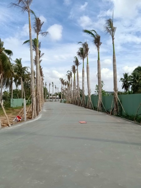 Đi đến slide 2
