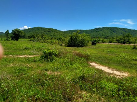 Cần bán lô đất 2800m2, tại Bình Tân, sông Luỹ, tỉnh Bình Thuận